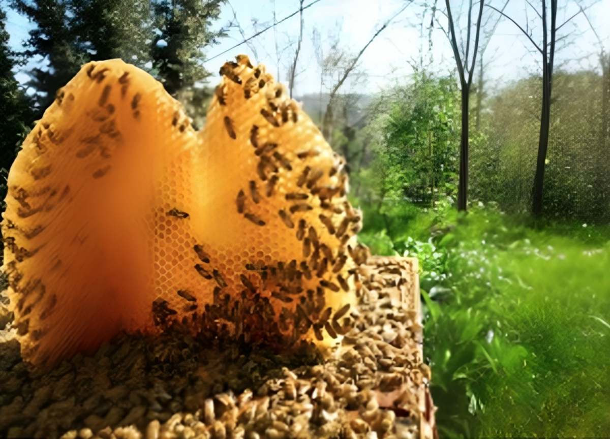 “Bosco delle api” di Greenpeace Italia per la lotta al degrado urbano