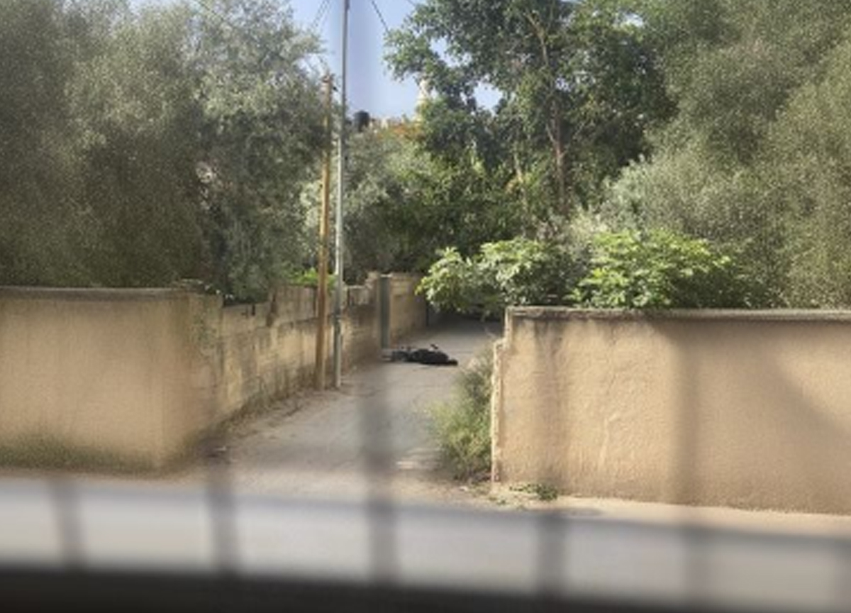 Cisgiordania, Israele attacca il campo profughi: esecuzioni sommarie Cisgiordania, Israele attacca il campo profughi: esecuzioni sommarie