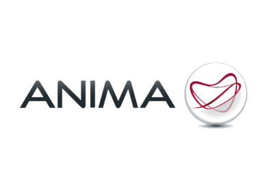Anima: pubblicato il quarto Rapporto di Sostenibilità e il Piano 2024-2028