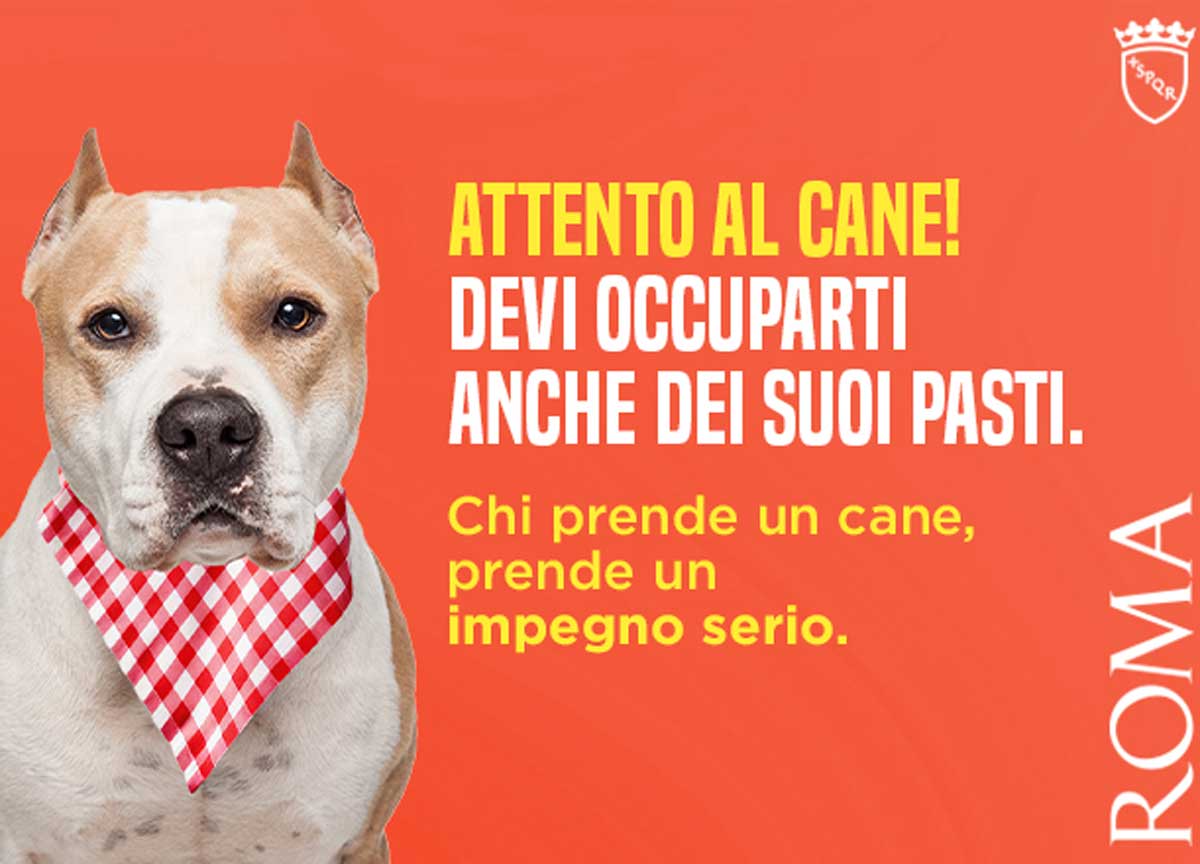 Adozione e abbandono cani, in campo il Comune di Roma: “E’ un vero impegno”
