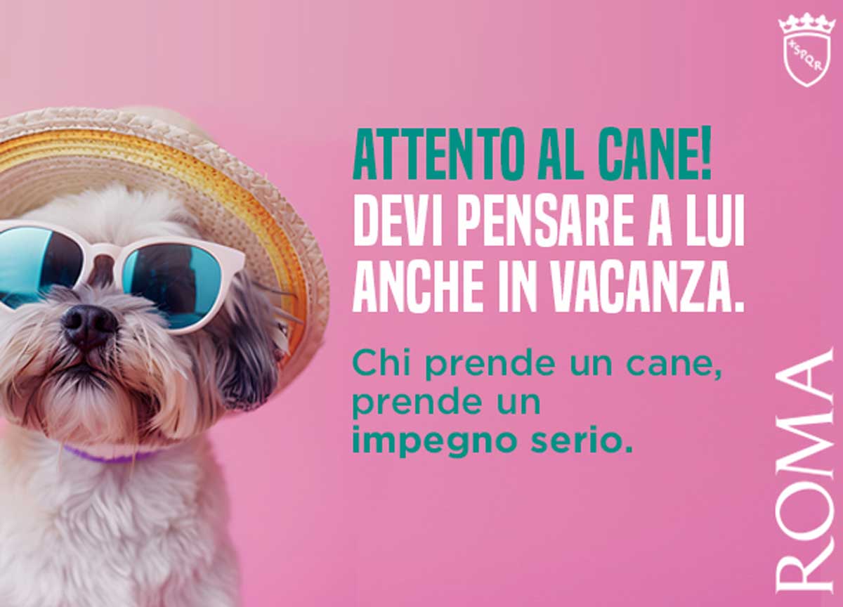 Adozione e abbandono cani, in campo il Comune di Roma: “E’ un vero impegno”