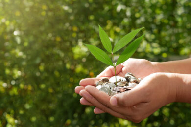 Immobiliare, case green? Per l’Italia un miraggio: servono dagli 800-1000 mld