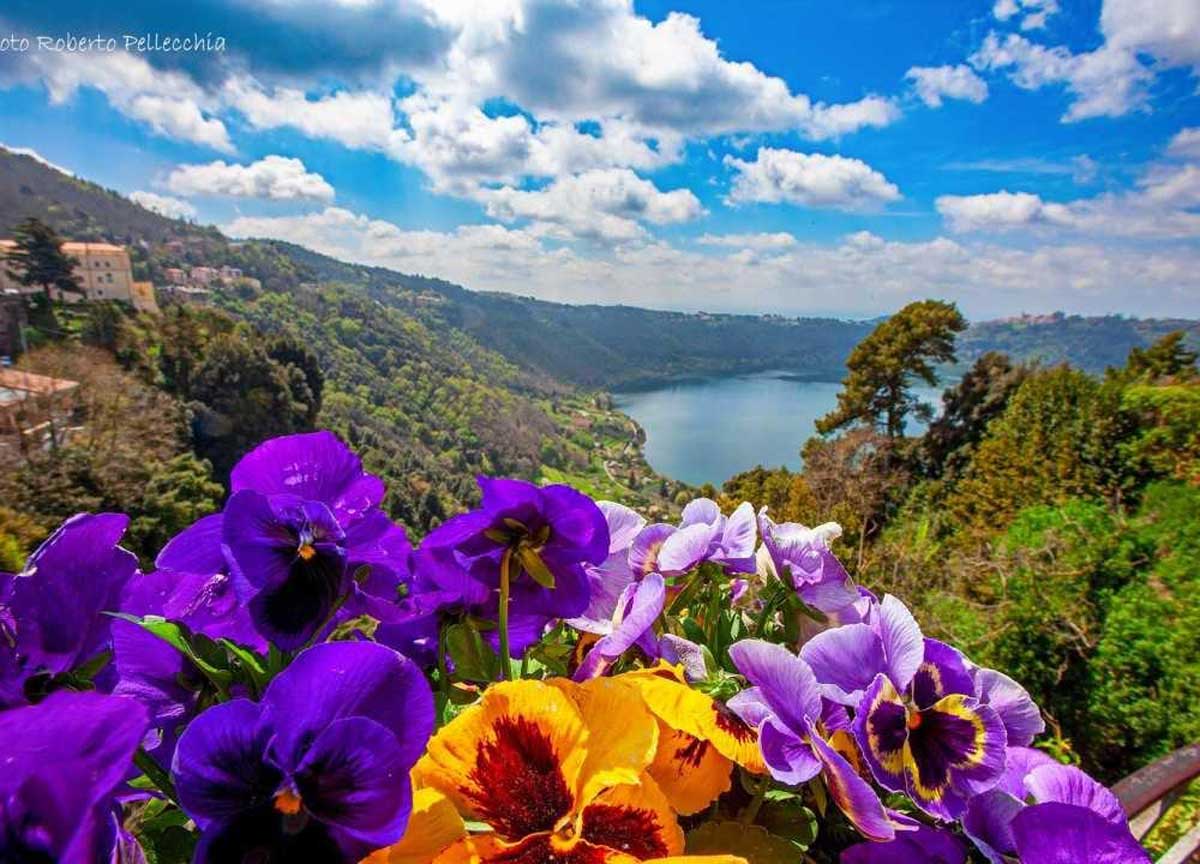 Nemi, la grande bellezza: è ufficiale e il 2 giugno la Sagra delle fragole Nemi, la grande bellezza: è ufficiale e il 2 giugno la Sagra delle fragole