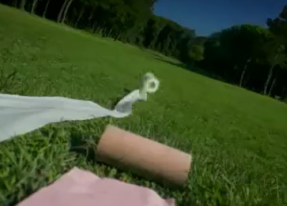 Anche la carta igienica finisce nel mirino: basta usarla, fa male all’ambiente Anche la carta igienica finisce nel mirino: basta usarla, fa male all’ambiente