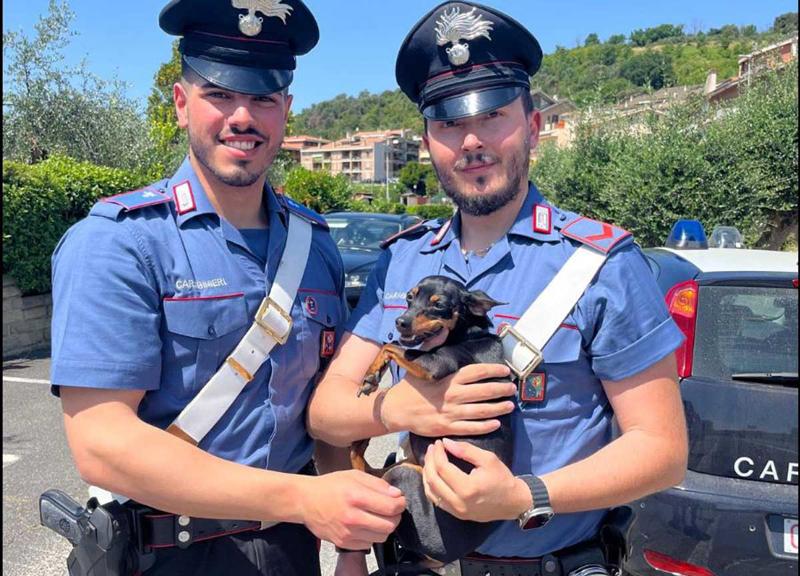 Bracciano, il cucciolo cade in un tombino: Tokyo salvato dai Carabinieri Bracciano, il cucciolo cade in un tombino: Tokyo salvato dai Carabinieri