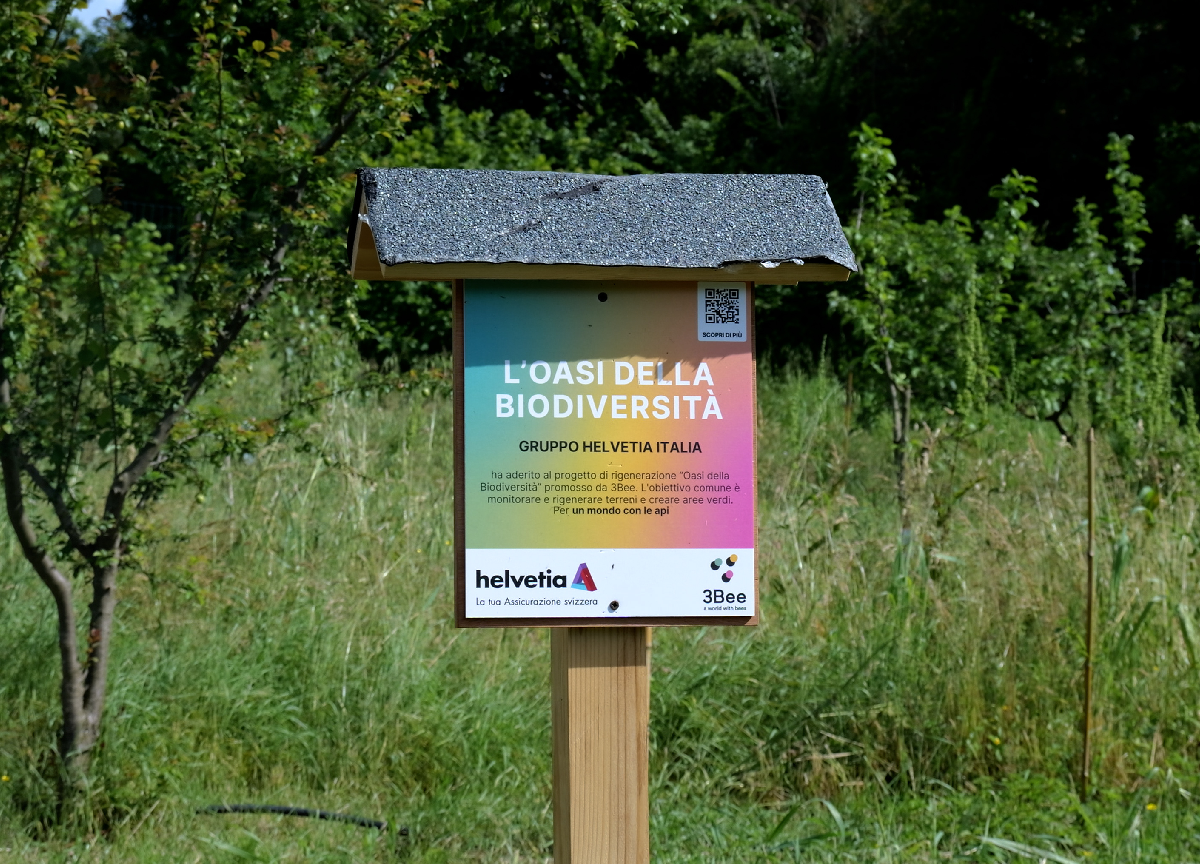 Helvetia sostiene interventi di riqualificazione per rigenerare l’ecosistema Helvetia sostiene interventi di riqualificazione per rigenerare l’ecosistema