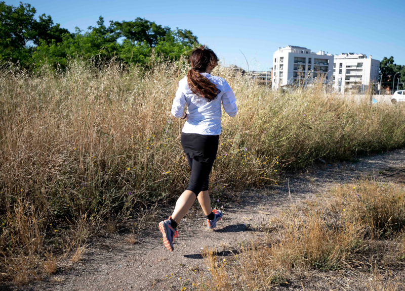 Verde non curato dal Comune, allarme dell’Ordine dei Medici: “Rischio zecche”