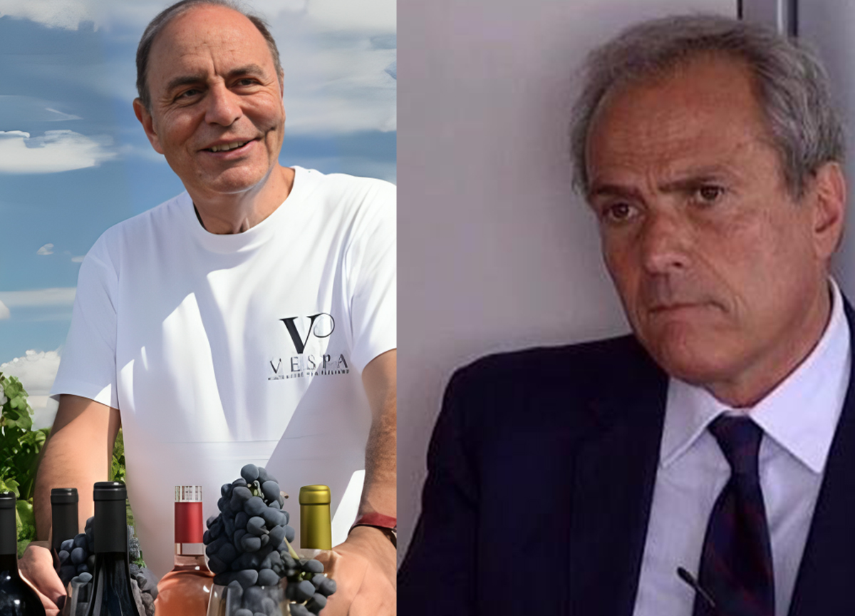 Vino sul Frecciarossa, Merlo demolisce Vespa: “Quel precedente alla Camera…”