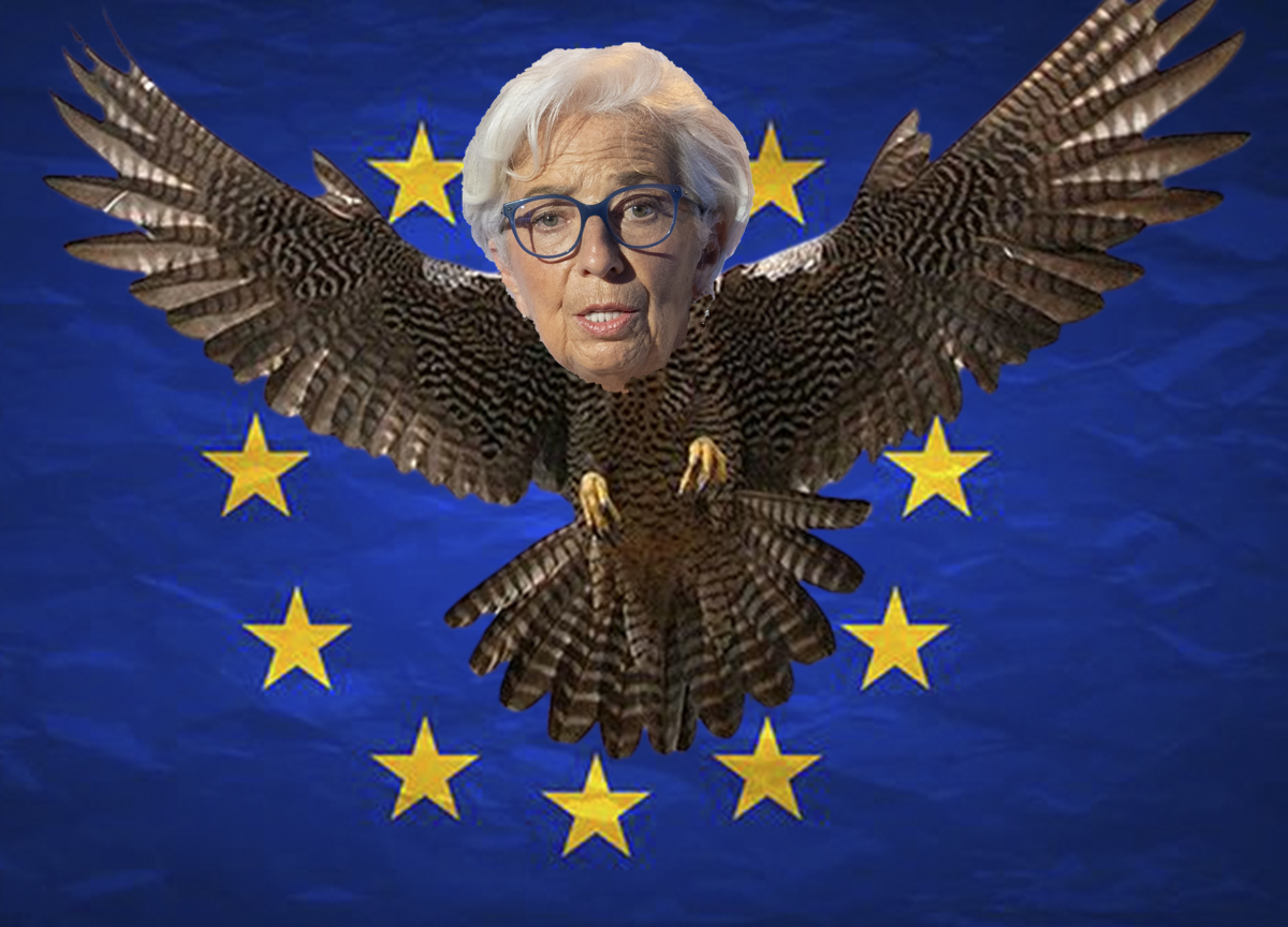 Se i tassi calano, le azioni salgono: ecco cosa succede dopo i tagli della Bce Se i tassi calano, le azioni salgono: ecco cosa succede dopo i tagli della Bce