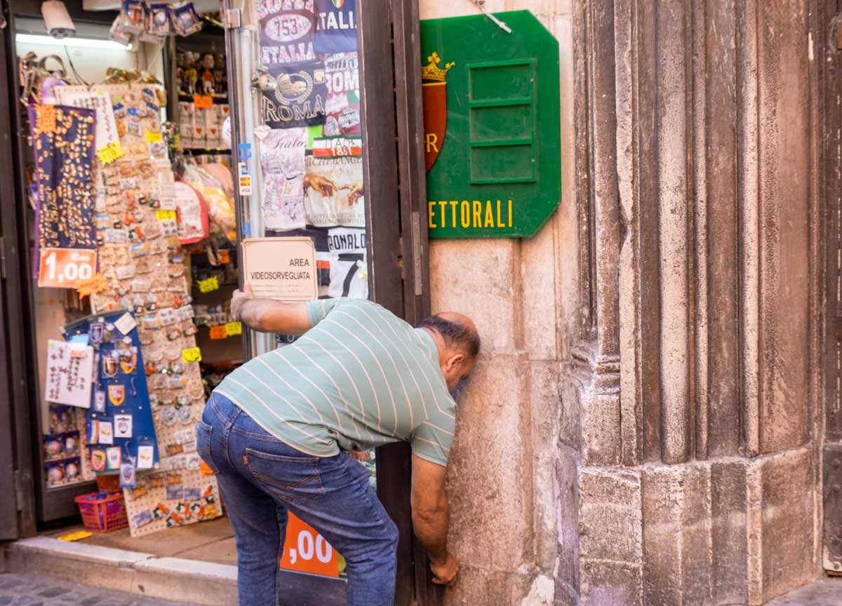 Elezioni Europee “da cani”: al seggio si può andare col peloso, le istruzioni Elezioni Europee “da cani”: al seggio si può andare col peloso, le istruzioni