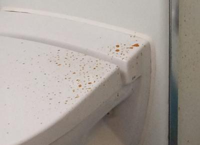 G7  ecco le cabine della nave hotel Goddess of the Night 02