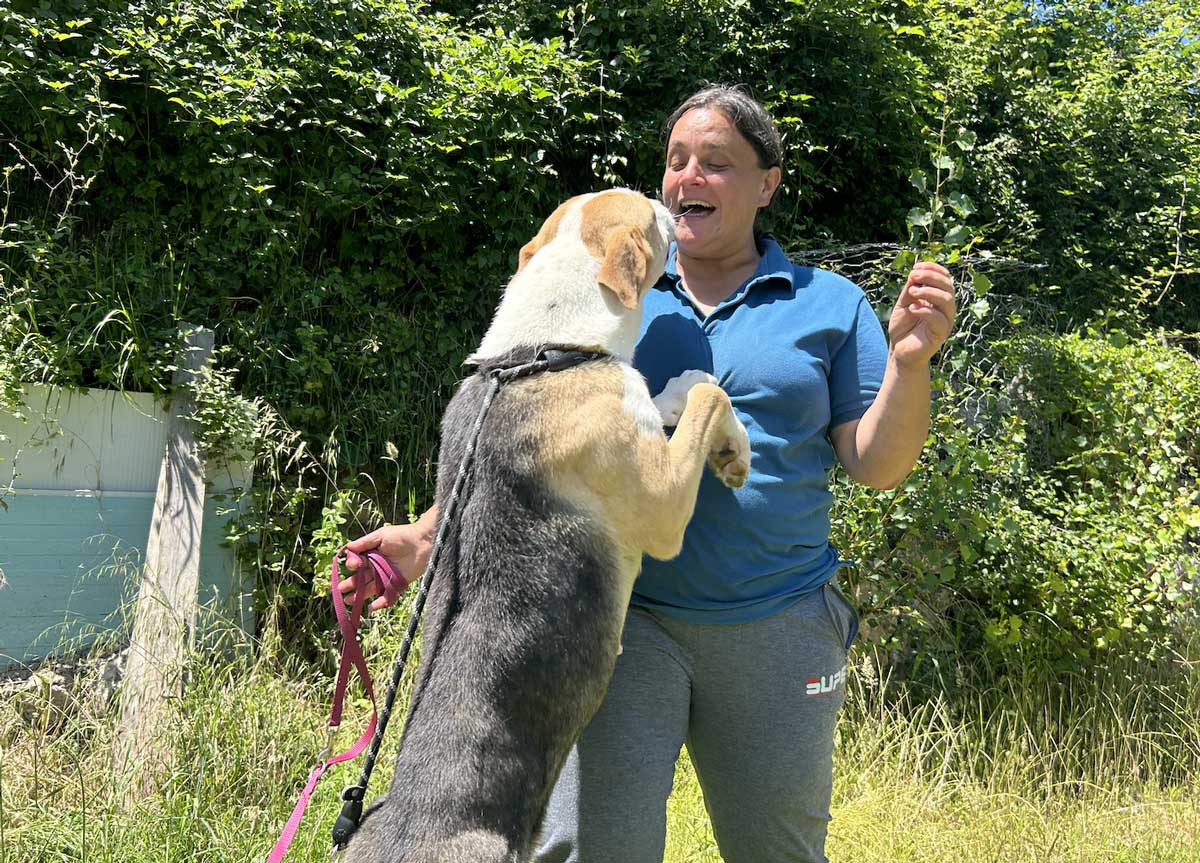 Cani abbandonati in cerca di padroni: te lo do io il canile. Il caso Palombara Cani abbandonati in cerca di padroni: te lo do io il canile. Il caso Palombara