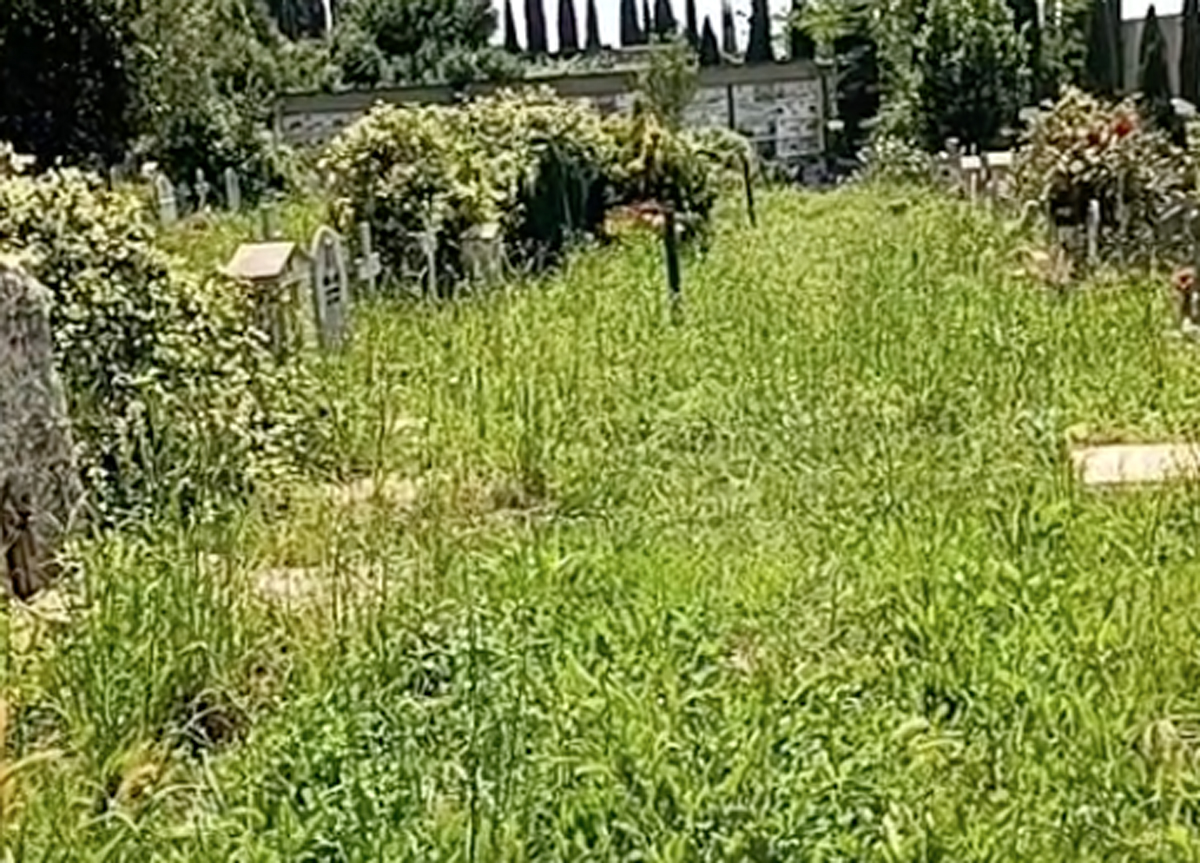 Prima Porta, il cimitero abbandonato: tombe coperte dall’erba alta un metro
