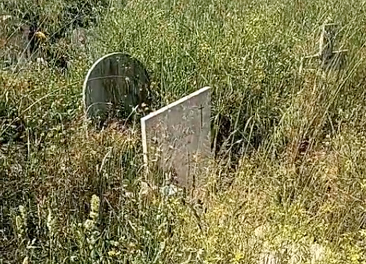 Prima Porta, il cimitero abbandonato: tombe coperte dall’erba alta un metro