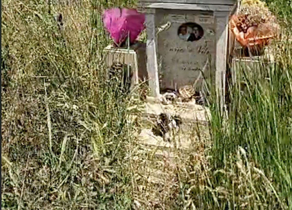 Prima Porta, il cimitero abbandonato: tombe coperte dall’erba alta un metro