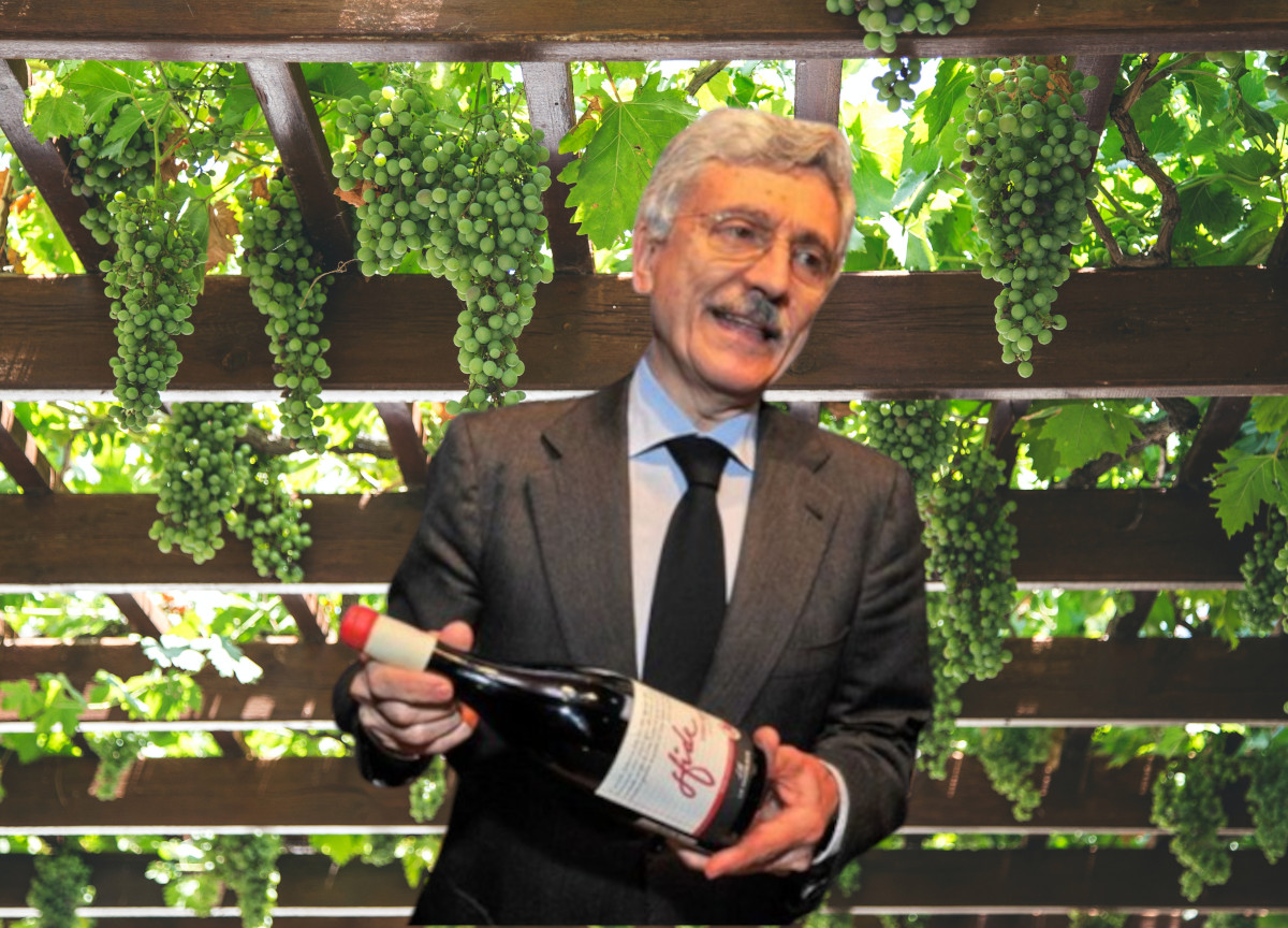 D’Alema non brinda con il vino della Silk Road Wines: utile ridotto nel 2023 D’Alema non brinda con il vino della Silk Road Wines: utile ridotto nel 2023