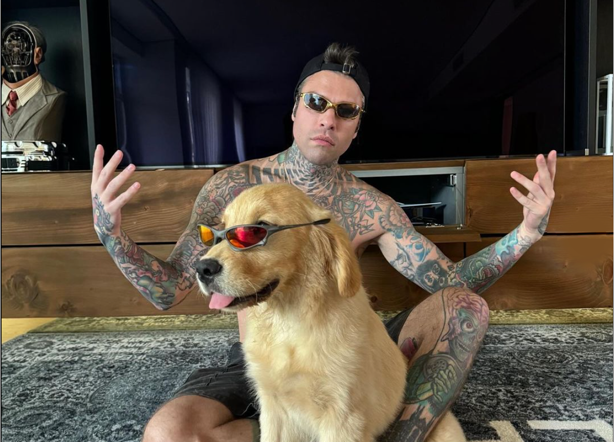 Fedez rompe il silenzio sui social: foto con un cane uguale a Paloma Fedez rompe il silenzio sui social: foto con un cane uguale a Paloma