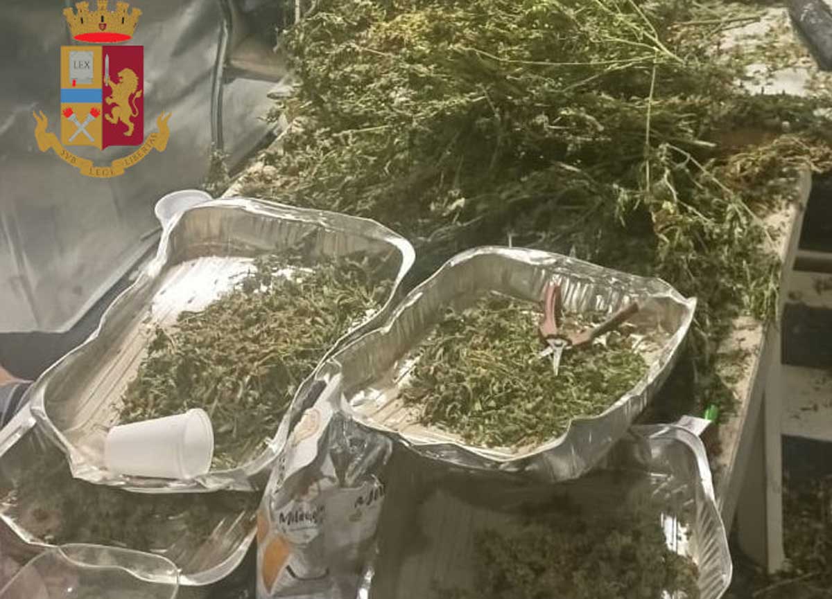 Parioli, presa la pusher della movida: migliaia di dosi per le notti romane Parioli, presa la pusher della movida: migliaia di dosi per le notti romane