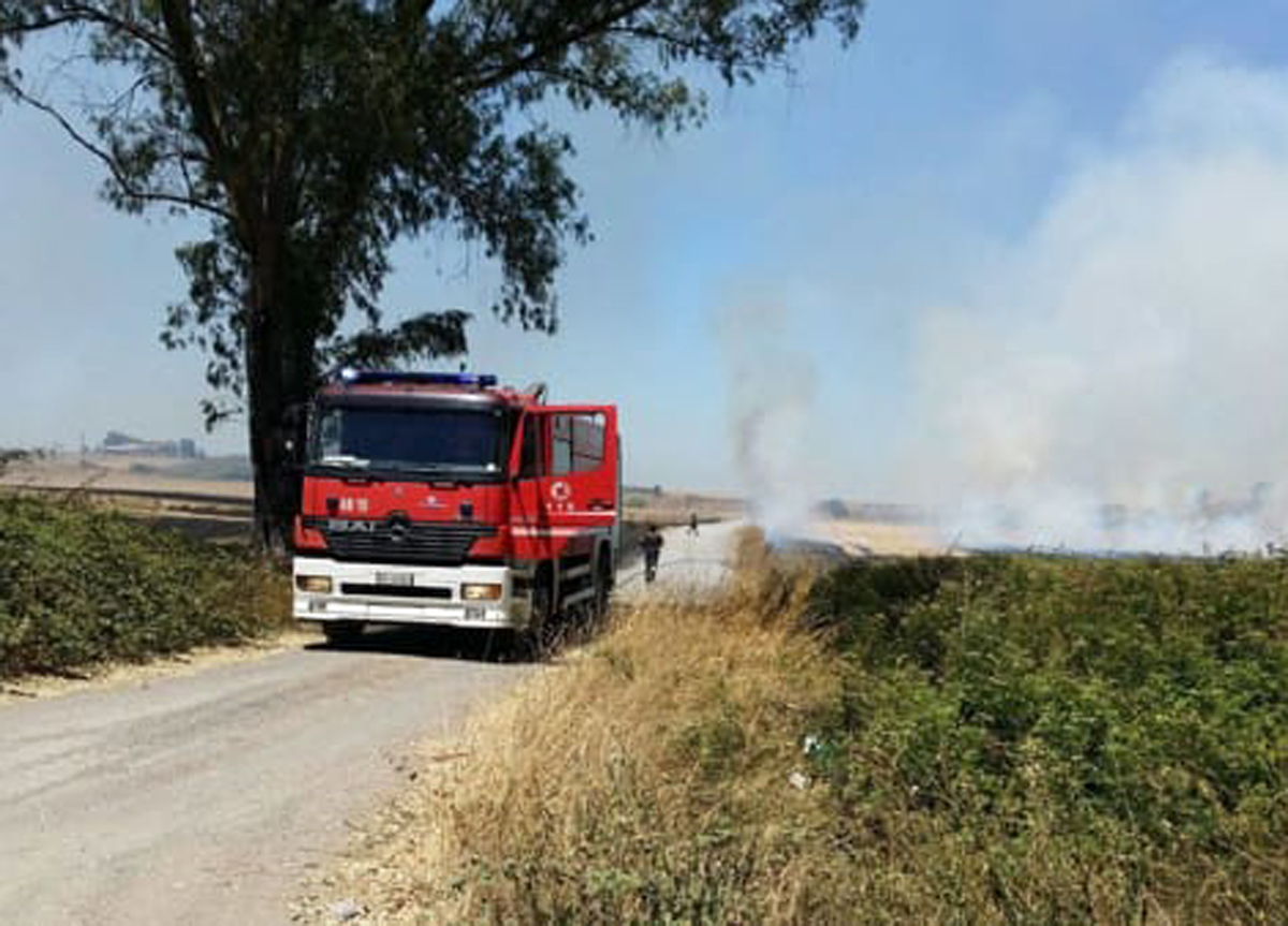 Via Ardeatina, incendio fino al Parco dell’Appia: fiamme a ridosso dei palazzi Via Ardeatina, incendio fino al Parco dell’Appia: fiamme a ridosso dei palazzi