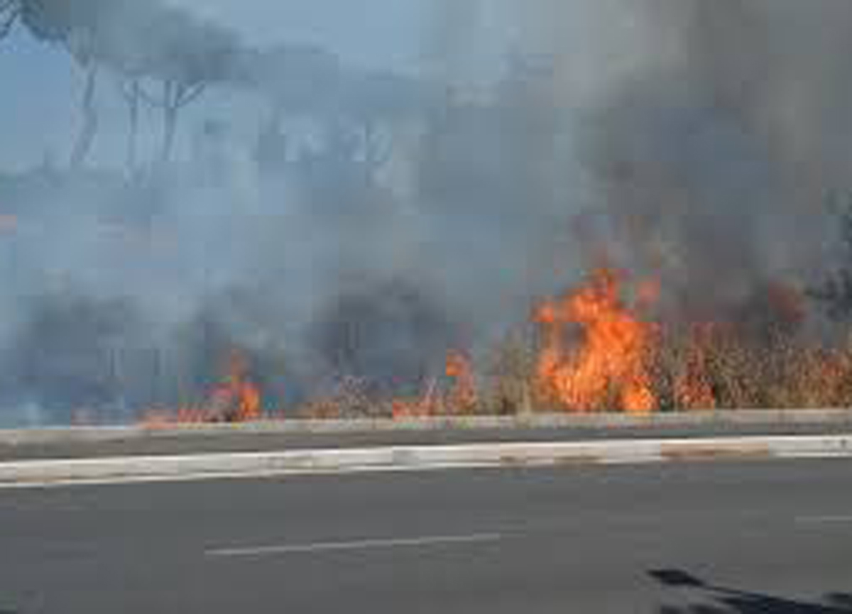 Via Ardeatina, incendio fino al Parco dell’Appia: fiamme a ridosso dei palazzi Via Ardeatina, incendio fino al Parco dell’Appia: fiamme a ridosso dei palazzi