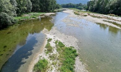 Siccità, in Puglia compromesso il 50% dell’olio. Sicilia, grano dimezzato