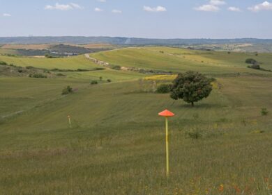 Snam inclusa nella classifica World’s Most Sustainable Companies 2024