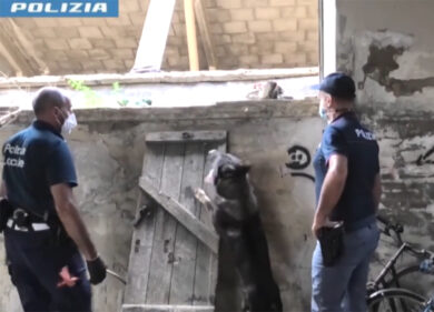 Traffico di droga e armi a Reggio Emilia, blitz: 38 arresti. VIDEO