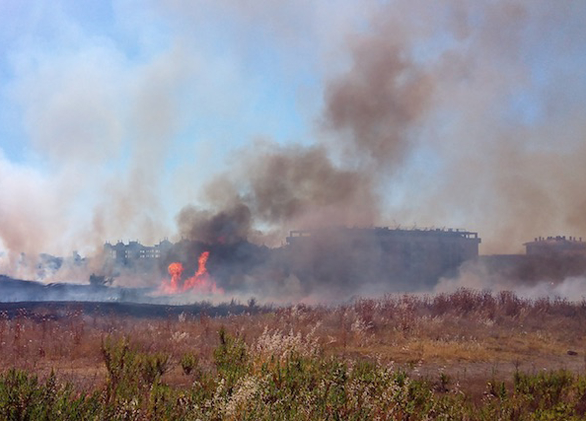La Magliana brucia ancora: a fuoco via Candoni: evacuato un centro estivo La Magliana brucia ancora: a fuoco via Candoni: evacuato un centro estivo