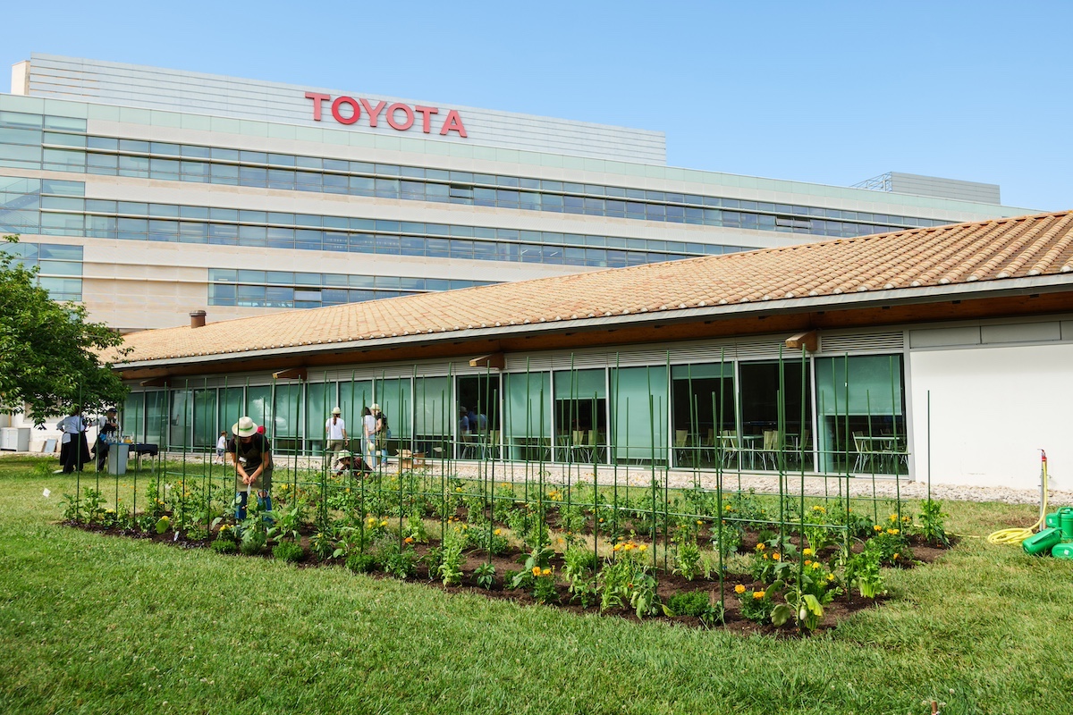 Toyota promuove la sostenibilità con la Green Month Campaign 2024 Toyota promuove la sostenibilità con la Green Month Campaign 2024