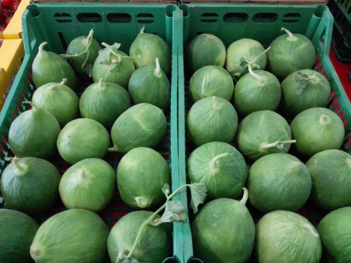 Tesori dell’Orto di Puglia: gelsi, barattieri e ‘cape di morto’
