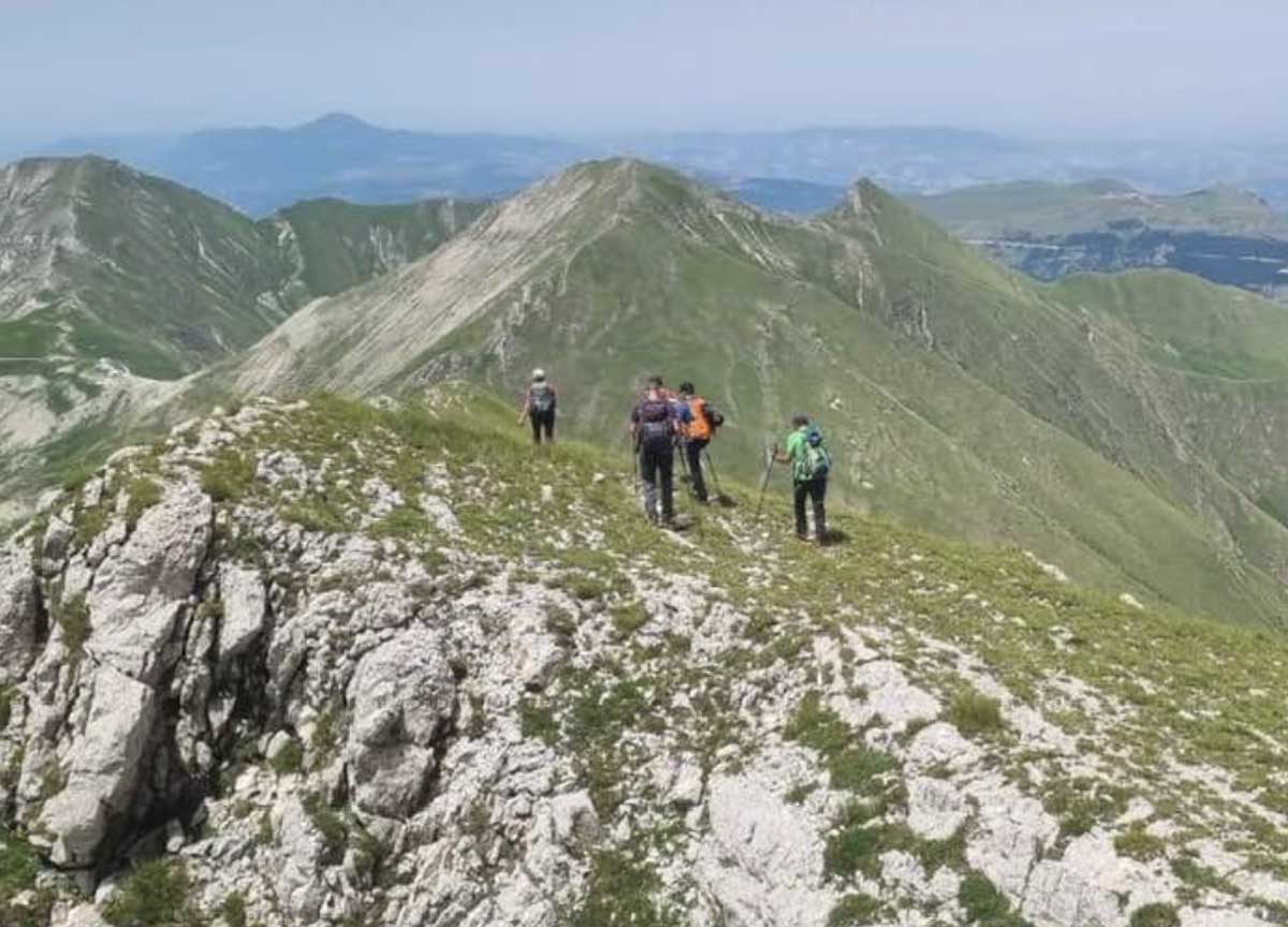 Paura occupazioni: le foto delle vacanze vietate sui social: “Ci controllano” Paura occupazioni: le foto delle vacanze vietate sui social: “Ci controllano”
