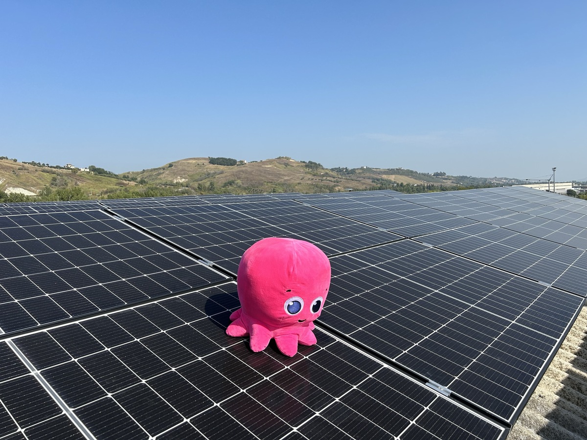 Octopus Energy tra i vincitori dell’asta del Gruppo d’Acquisto di Altroconsumo Octopus Energy tra i vincitori dell’asta del Gruppo d’Acquisto di Altroconsumo