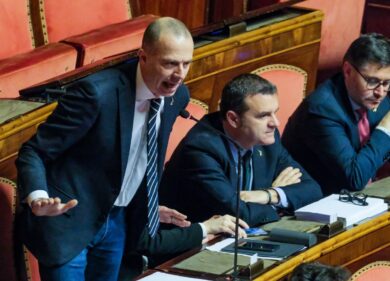 Maternità surrogata, governo diviso. La Lega insiste, maggioranza nel caos