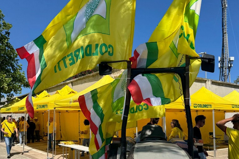 Agricoltori e trattori in piazza a Bari per Xylella, siccità e cinghiali