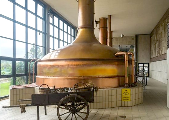 Heineken Massafra Accademy, pugliese la metà dei selezionati