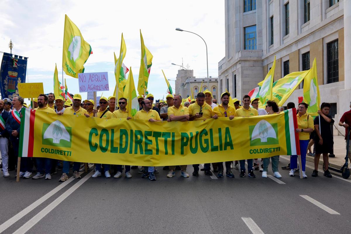 Piano straordinario gestione e contenimento dei cinghiali per la Puglia