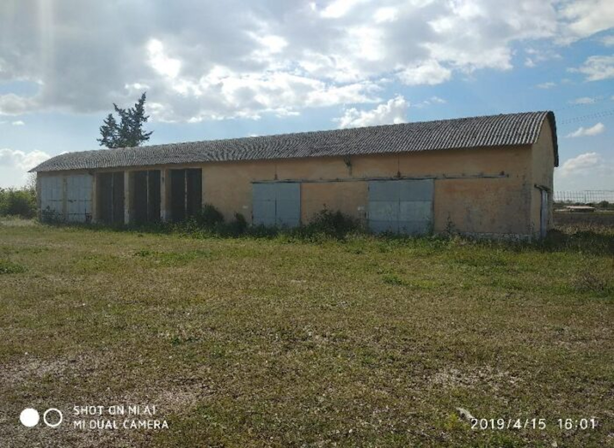 Cedesi azienda degli Anni 40 sulla Tiburtina: il Demanio si libera delle perle Cedesi azienda degli Anni 40 sulla Tiburtina: il Demanio si libera delle perle
