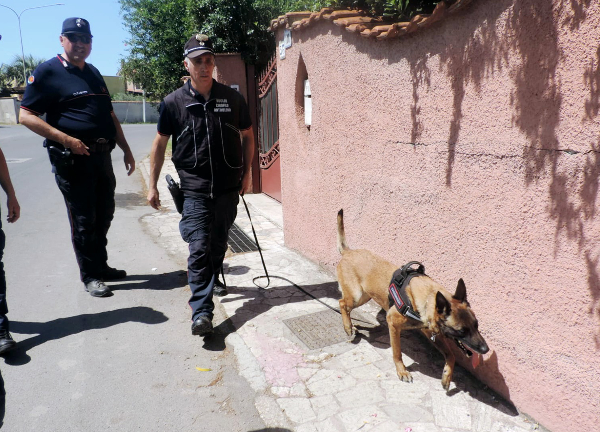 Animali avvelenenati, maxi blitz del nucleo anti veleno dei Carabinieri