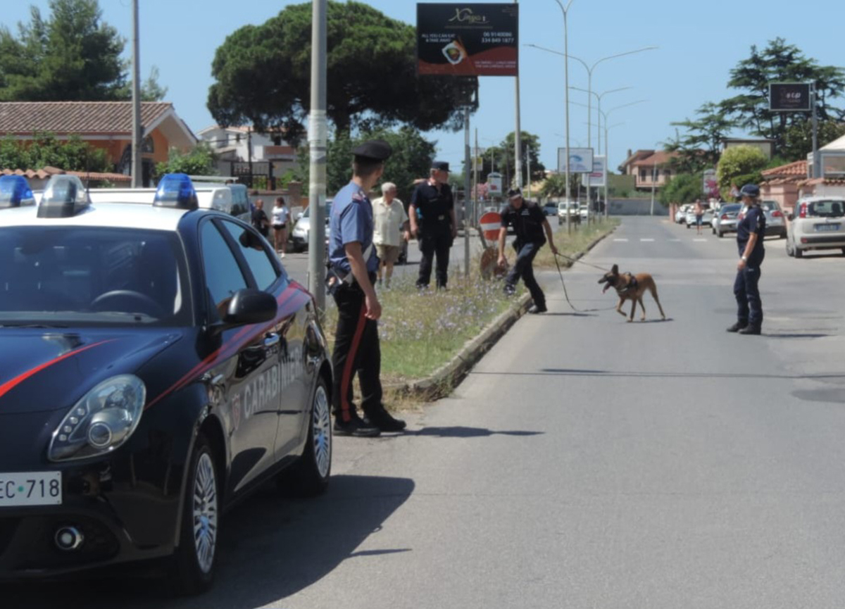 Animali avvelenenati, maxi blitz del nucleo anti veleno dei Carabinieri