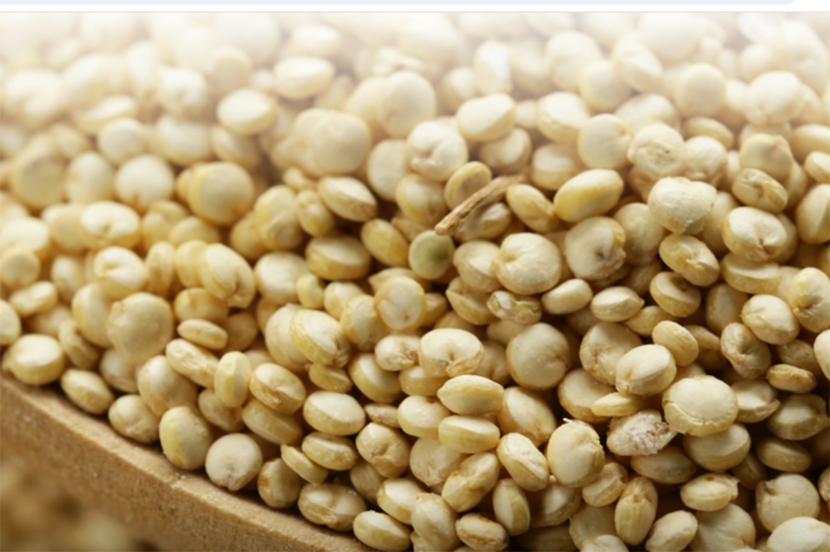 Conad richiama quinoa biologica, ocratossina superiore ai limiti prescritti Conad richiama quinoa biologica, ocratossina superiore ai limiti prescritti