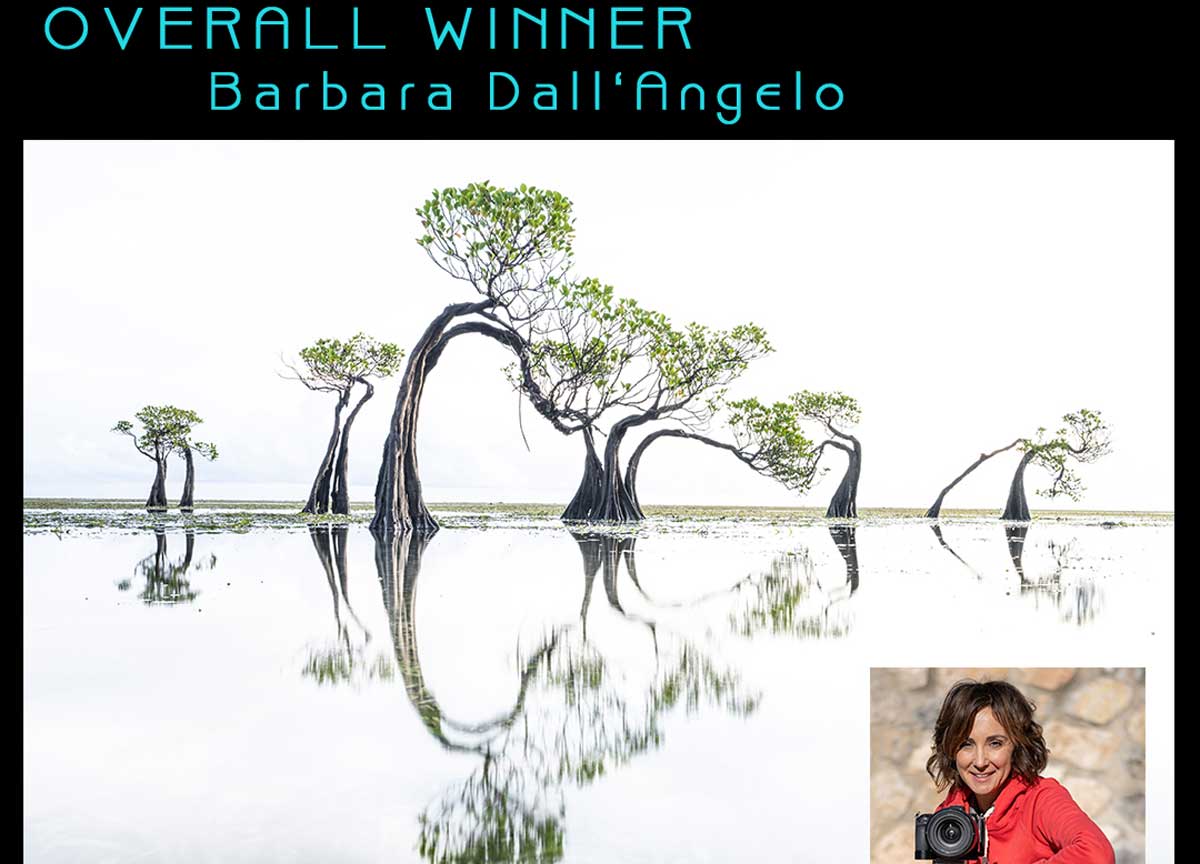 Fotografare la natura: romana, la Dall’Angelo vince il concorso internazionale Fotografare la natura: romana, la Dall’Angelo vince il concorso internazionale