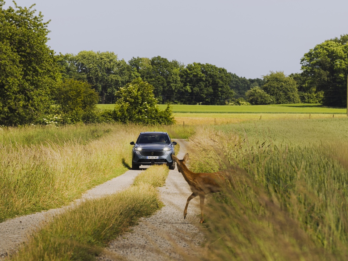 PEUGEOT nuovo E-5008: il SUV elettrico 7 posti con autonomia da record
