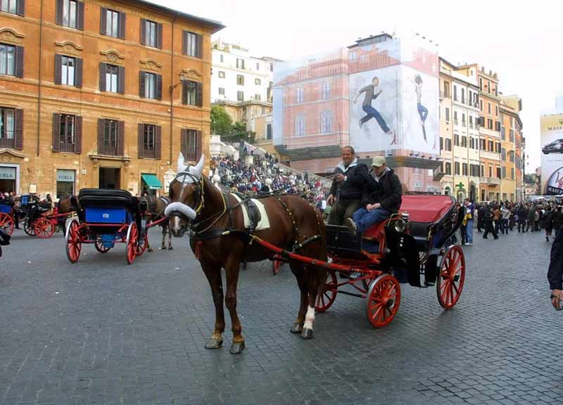 Addio botticelle con i cavalli: saranno a trazione meccanica. La rivoluzione Addio botticelle con i cavalli: saranno a trazione meccanica. La rivoluzione