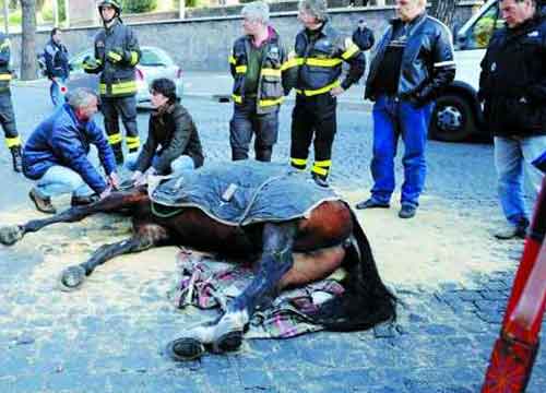 Addio botticelle con i cavalli: saranno a trazione meccanica. La rivoluzione Addio botticelle con i cavalli: saranno a trazione meccanica. La rivoluzione