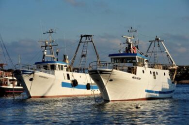 Pesca, nel lago di Garda non c’è più pesce. Crollo del 90%: l’allarme