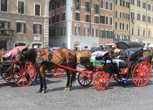 Botticelle, bluff del Comune. L’Oipa: “Votata una mozione che non vale nulla”