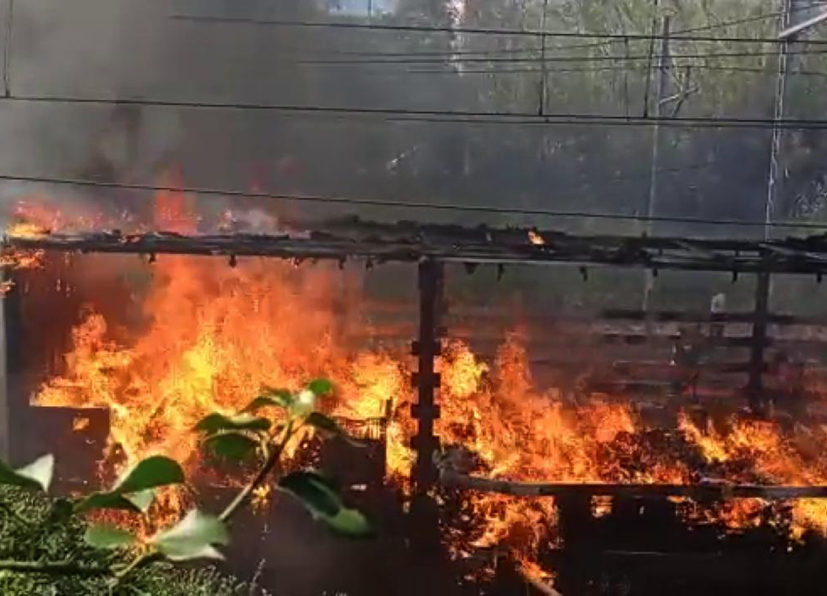 In fiamme il Parco del Pineto, il fumo nero oscura la cupola di S. Pietro FOTO