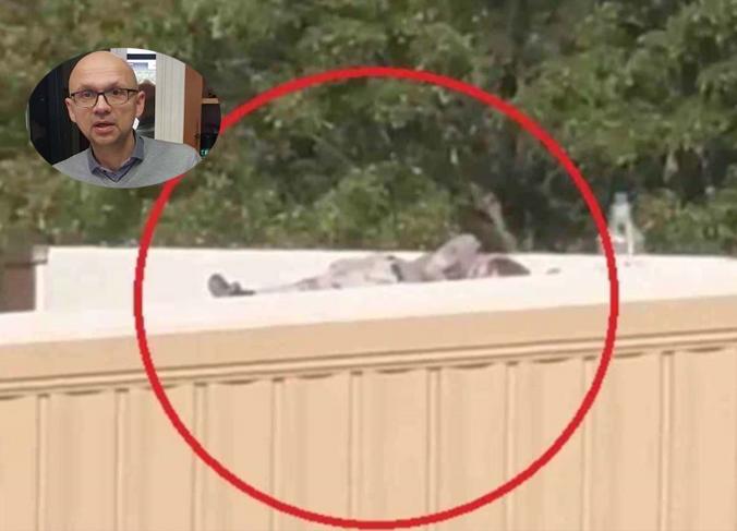 Usa, il perito balistico: “Trump si è salvato perché ha spostato la testa” Usa, il perito balistico: “Trump si è salvato perché ha spostato la testa”