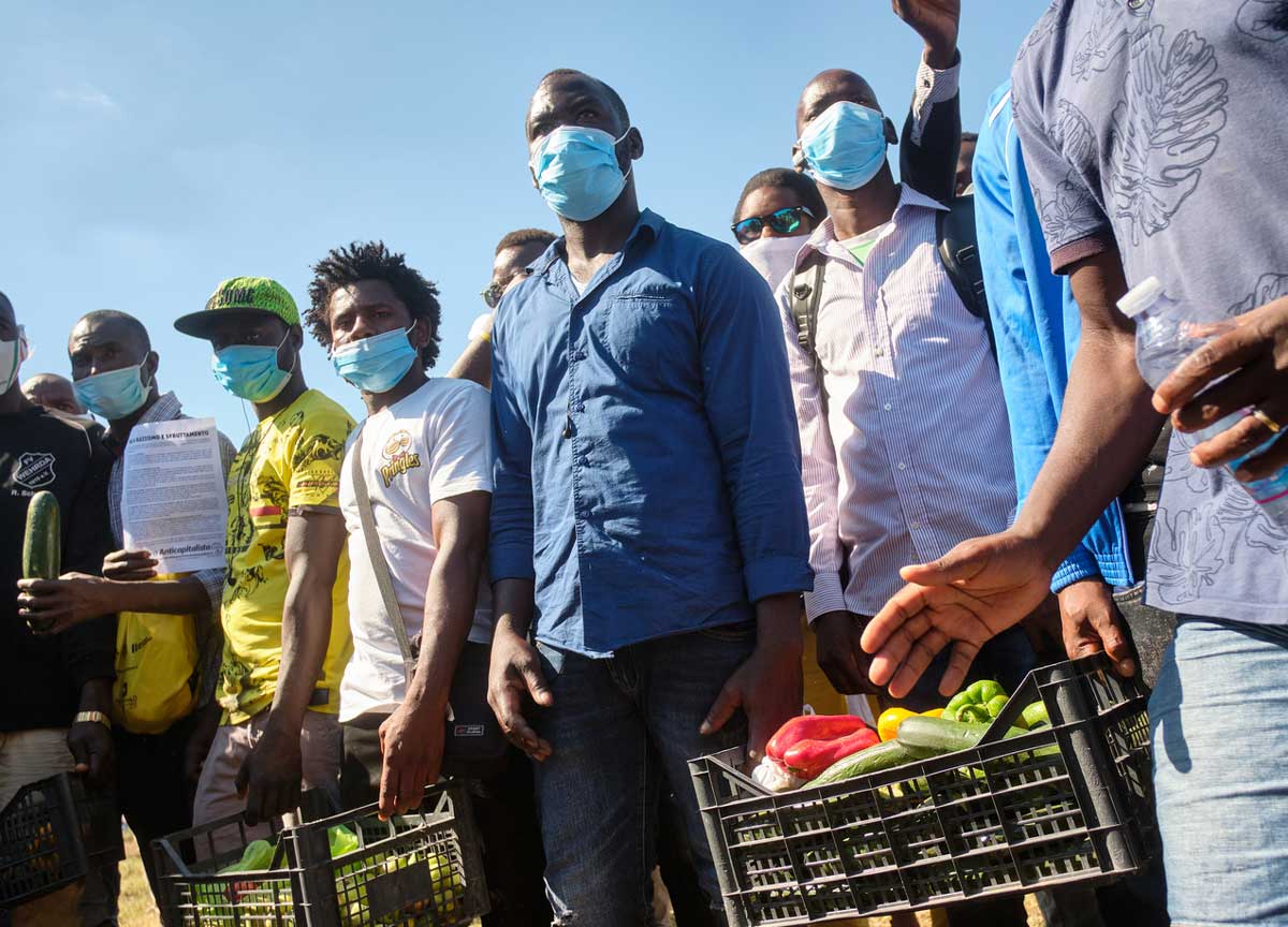 Drogati con oppio per lavorare nei campi: presi i caporali indiani, 5 arresti Drogati con oppio per lavorare nei campi: presi i caporali indiani, 5 arresti