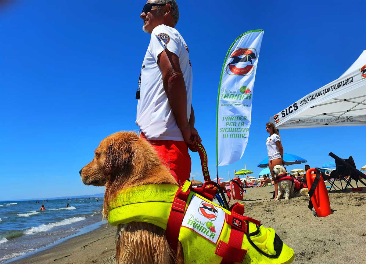 Bagni al mare sicuri: le 40 spiagge sorvegliate nei week end dai cani bagnino Bagni al mare sicuri: le 40 spiagge sorvegliate nei week end dai cani bagnino